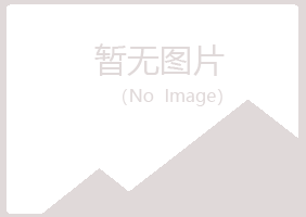 清河门区山柏会计有限公司